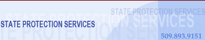 State Protection Services